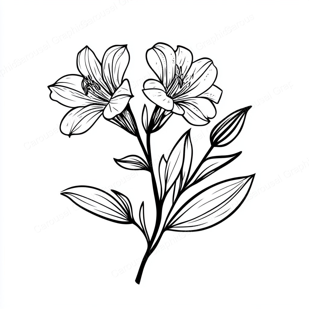 Alstroemeria Vector Graphic preview