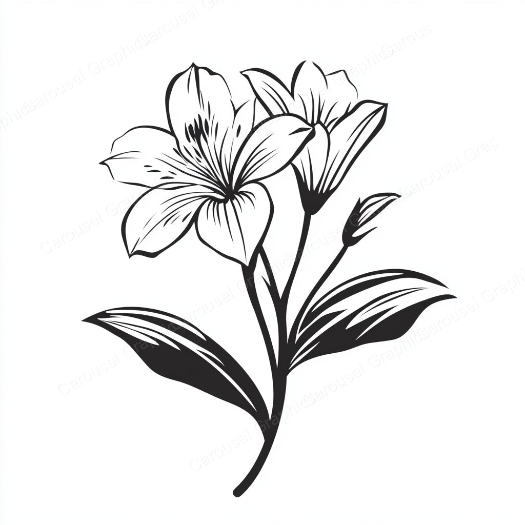 Alstroemeria Vector Graphic preview