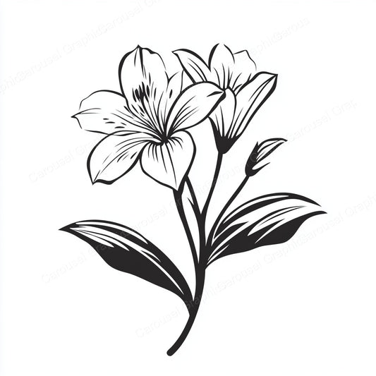Alstroemeria Vector Graphic preview