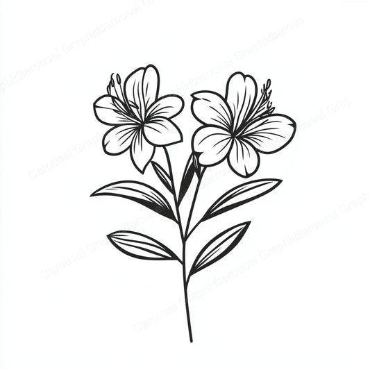 Alstroemeria Vector Graphic preview