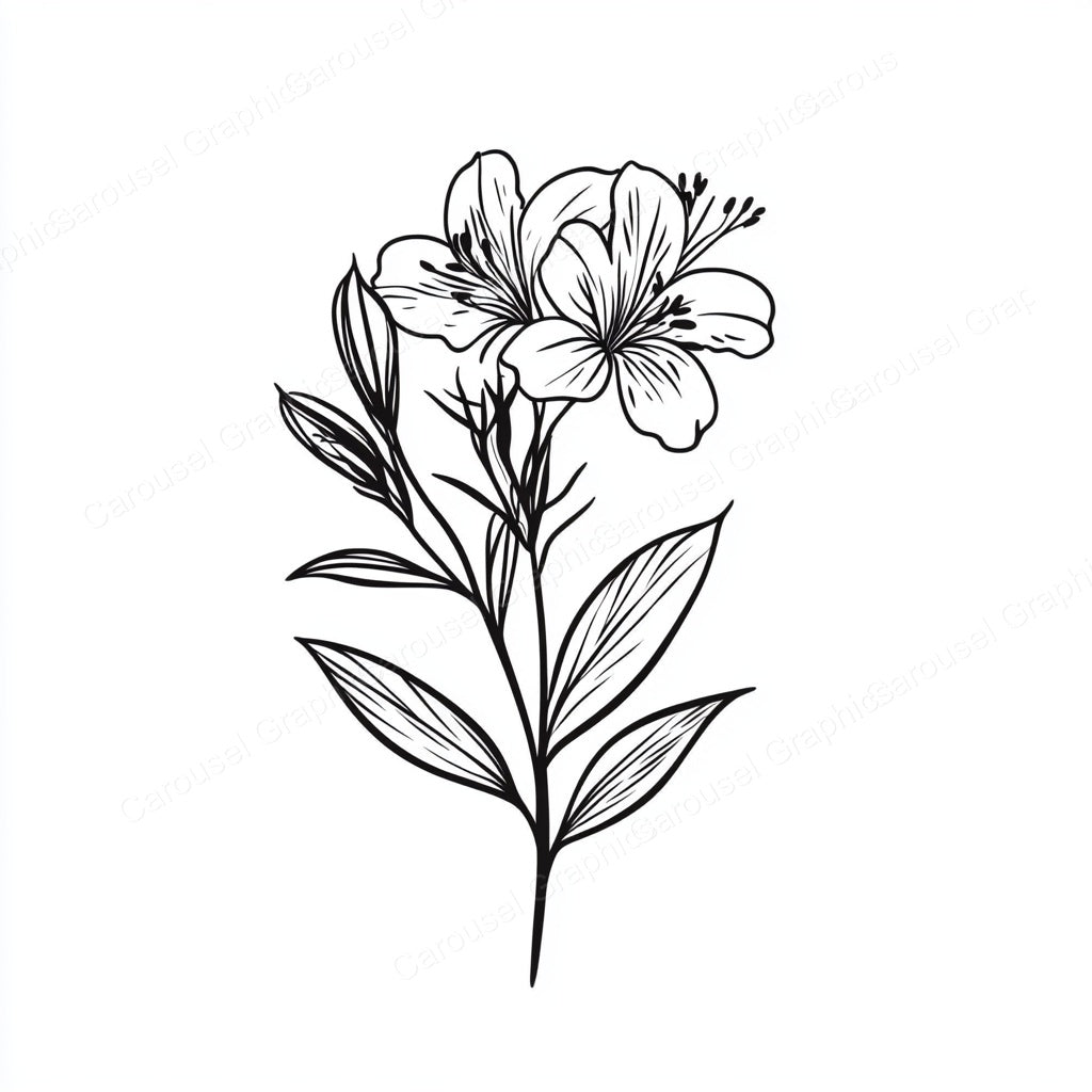 Alstroemeria Vector Graphic preview