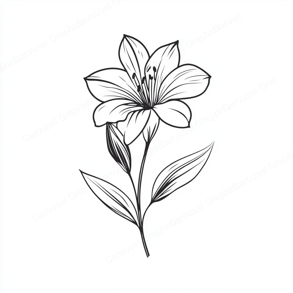 Alstroemeria Vector Graphic preview