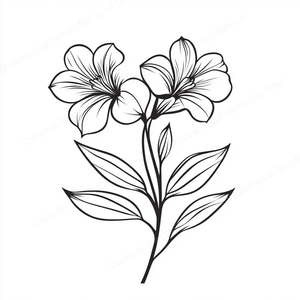 Alstroemeria Vector Graphic preview