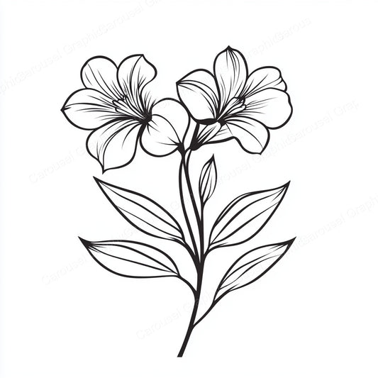 Alstroemeria Vector Graphic preview