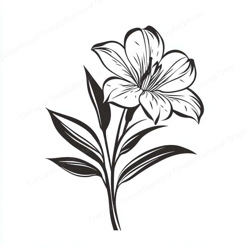 Alstroemeria Vector Graphic preview