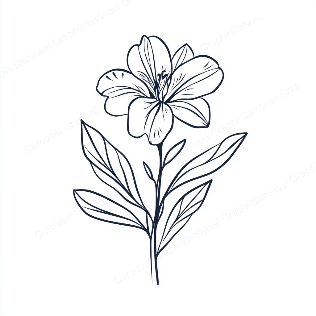 Alstroemeria Vector Graphic preview