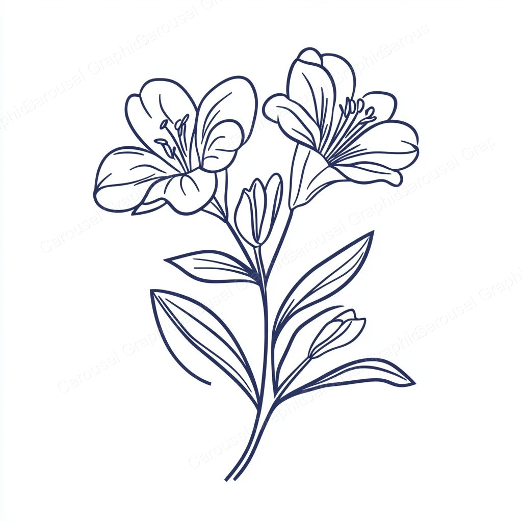 Alstroemeria Vector Graphic preview