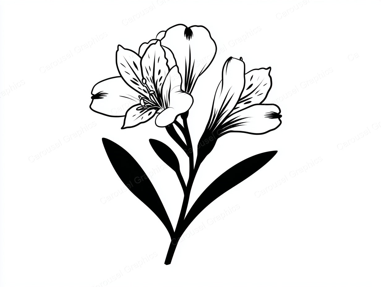 Alstroemeria Vector Graphic preview