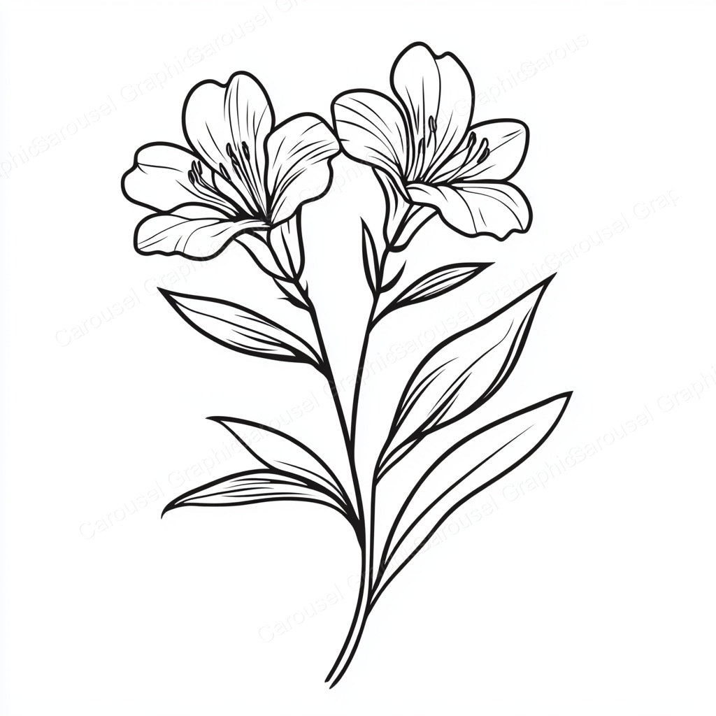 Alstroemeria Vector Graphic preview