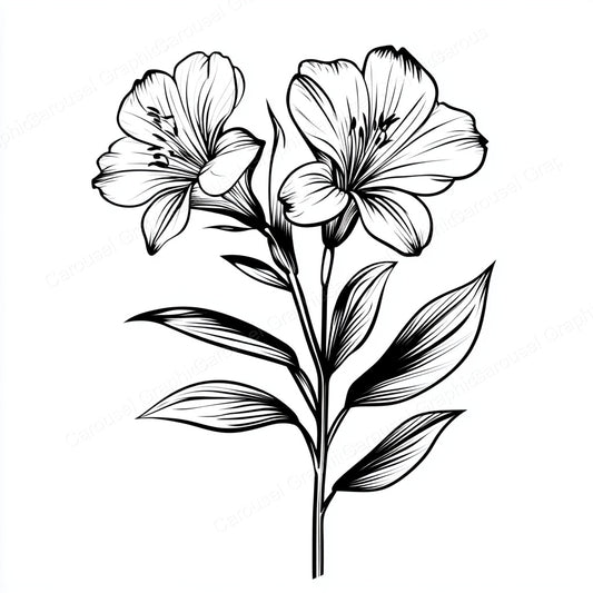 Alstroemeria Vector Graphic preview