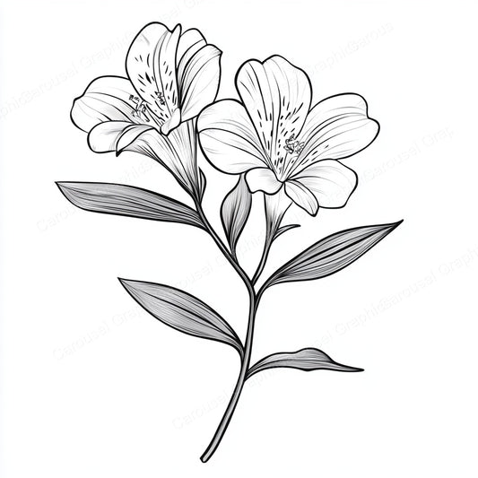 Alstroemeria Vector Graphic preview