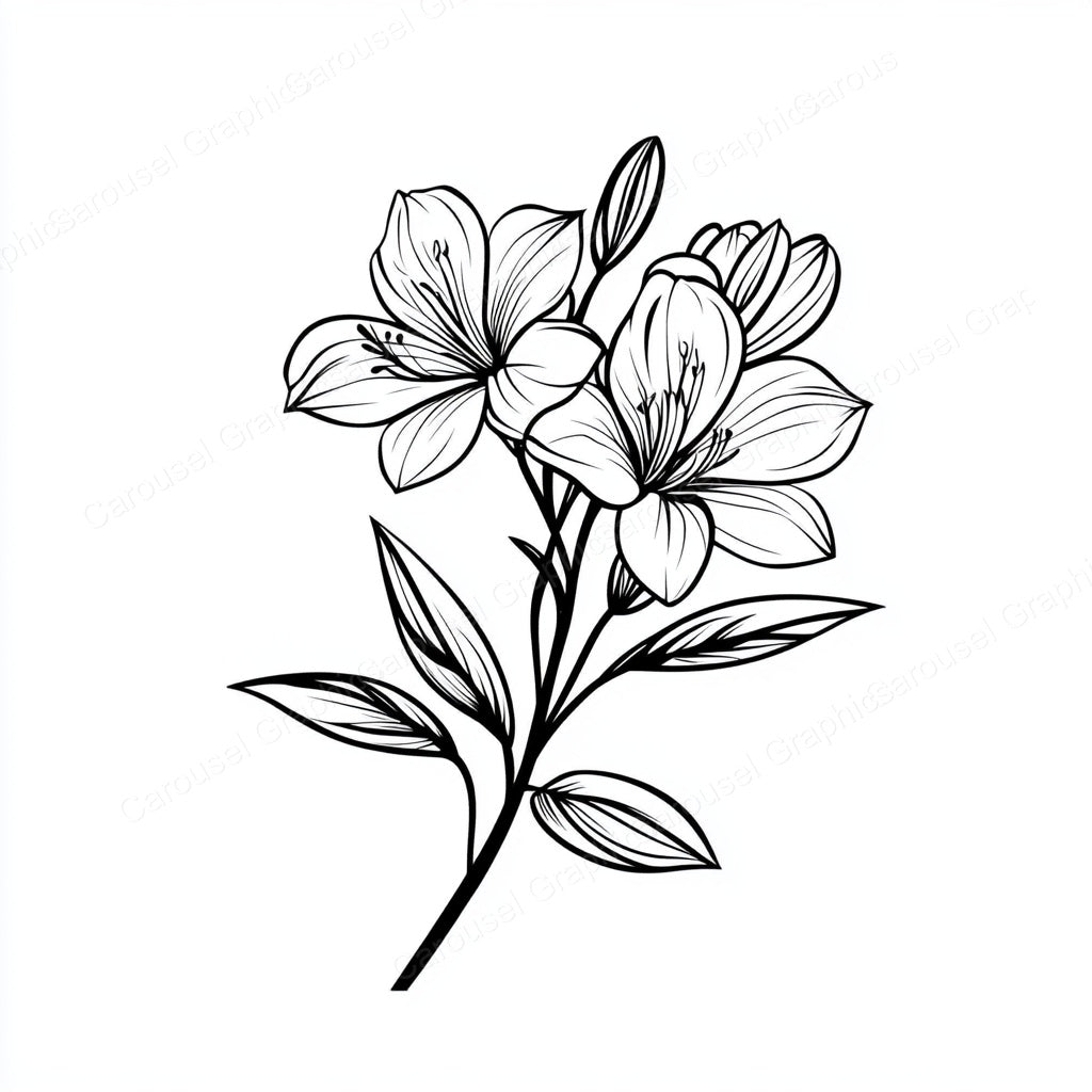 Alstroemeria Vector Graphic preview