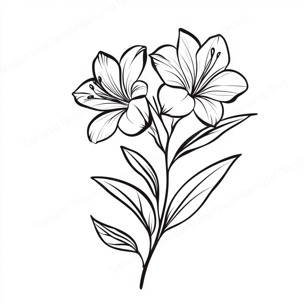 Alstroemeria Vector Graphic preview