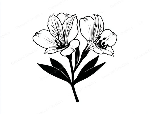 Alstroemeria Vector Graphic preview