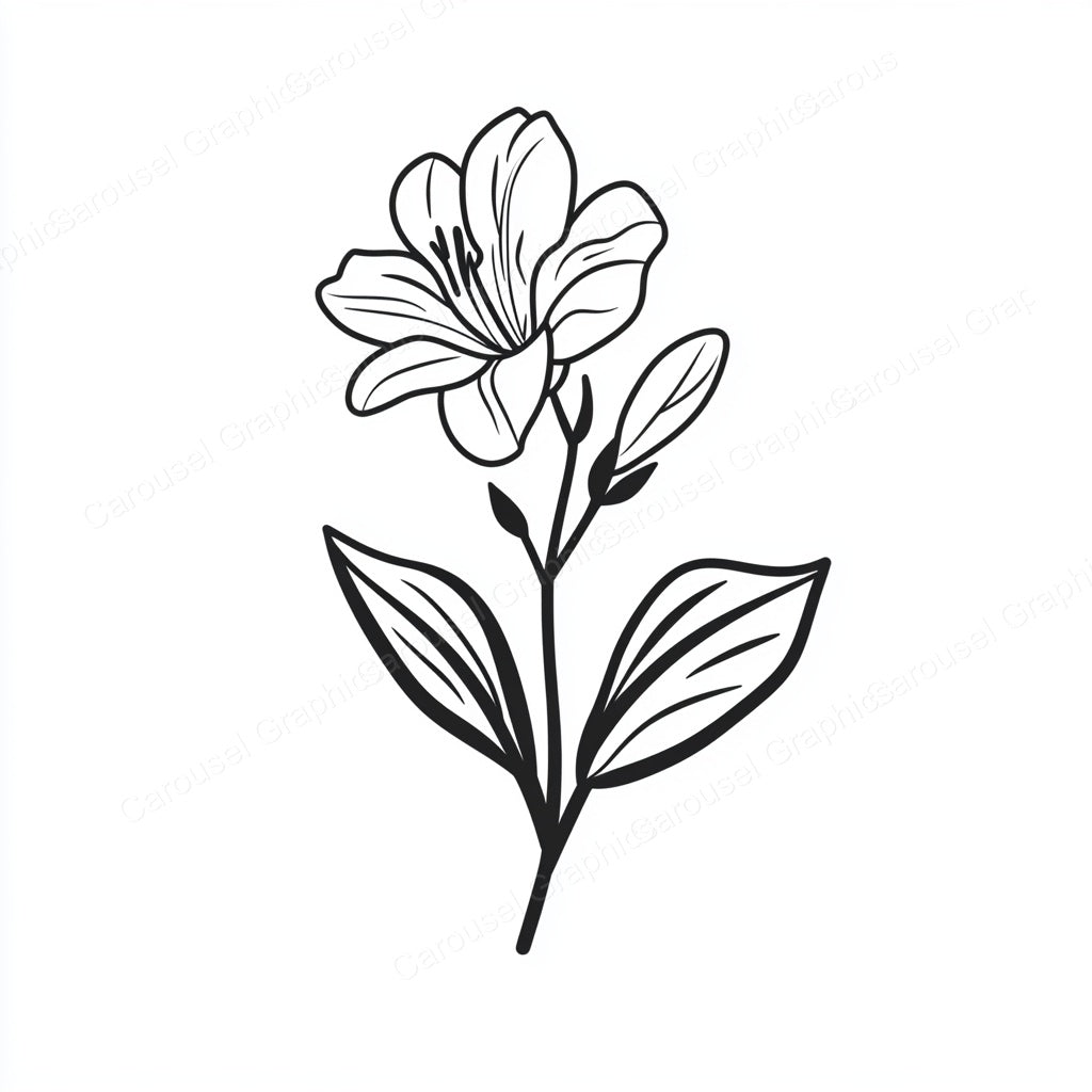 Alstroemeria Vector Graphic preview