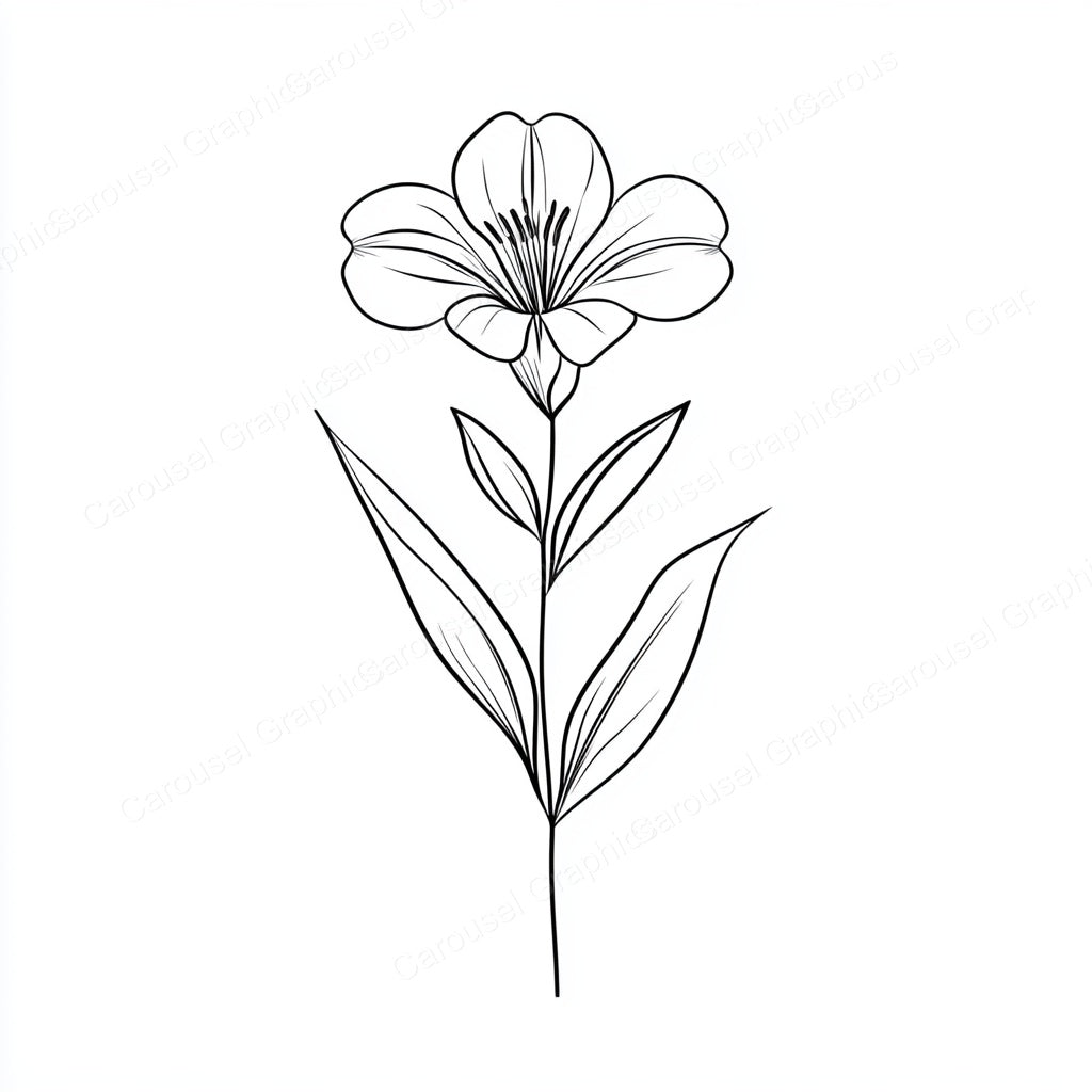 Alstroemeria Vector Graphic preview