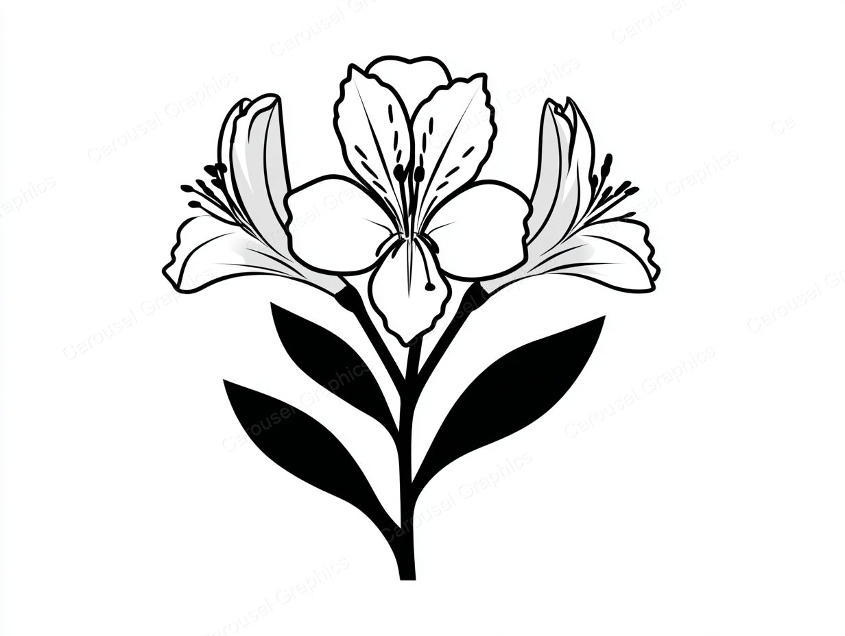 Alstroemeria Vector Graphic preview
