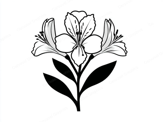Alstroemeria Vector Graphic preview