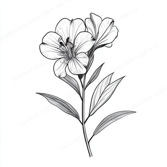 Alstroemeria Vector Graphic preview