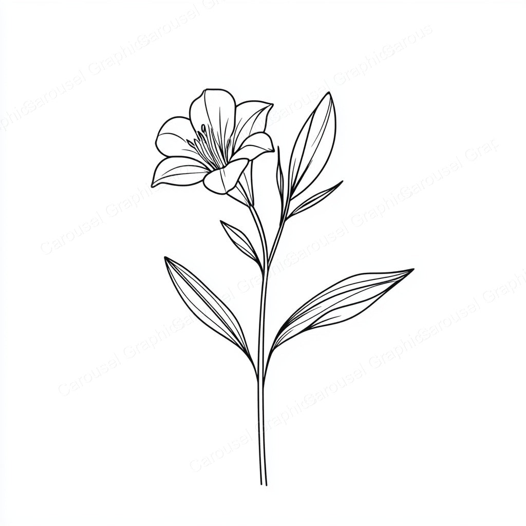Alstroemeria Vector Graphic preview