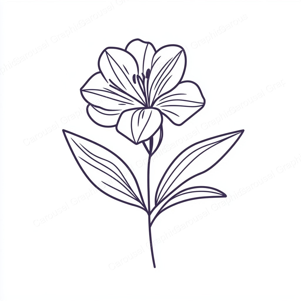 Alstroemeria Vector Graphic preview