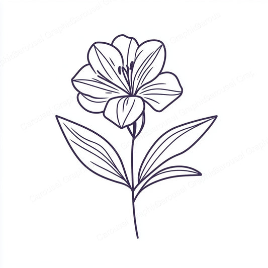 Alstroemeria Vector Graphic preview