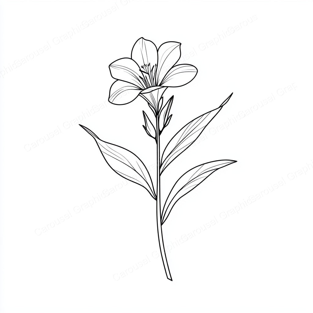Alstroemeria Vector Graphic preview