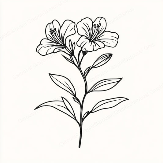 Alstroemeria Vector Graphic preview