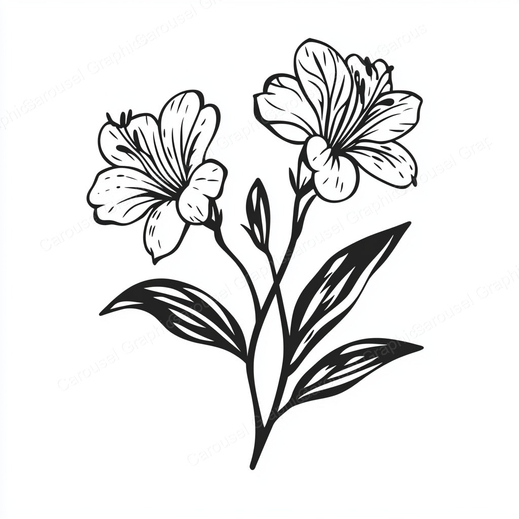 Alstroemeria Vector Graphic preview