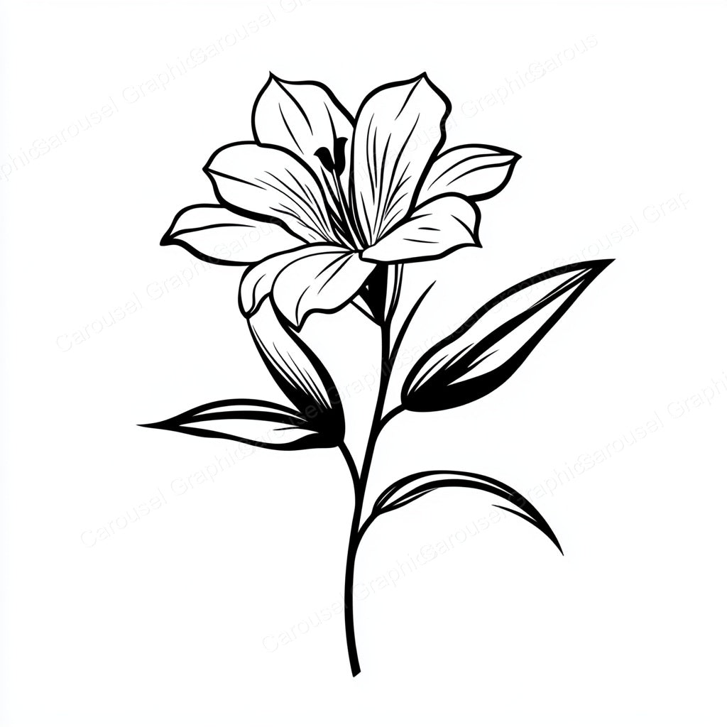 Alstroemeria Vector Graphic preview