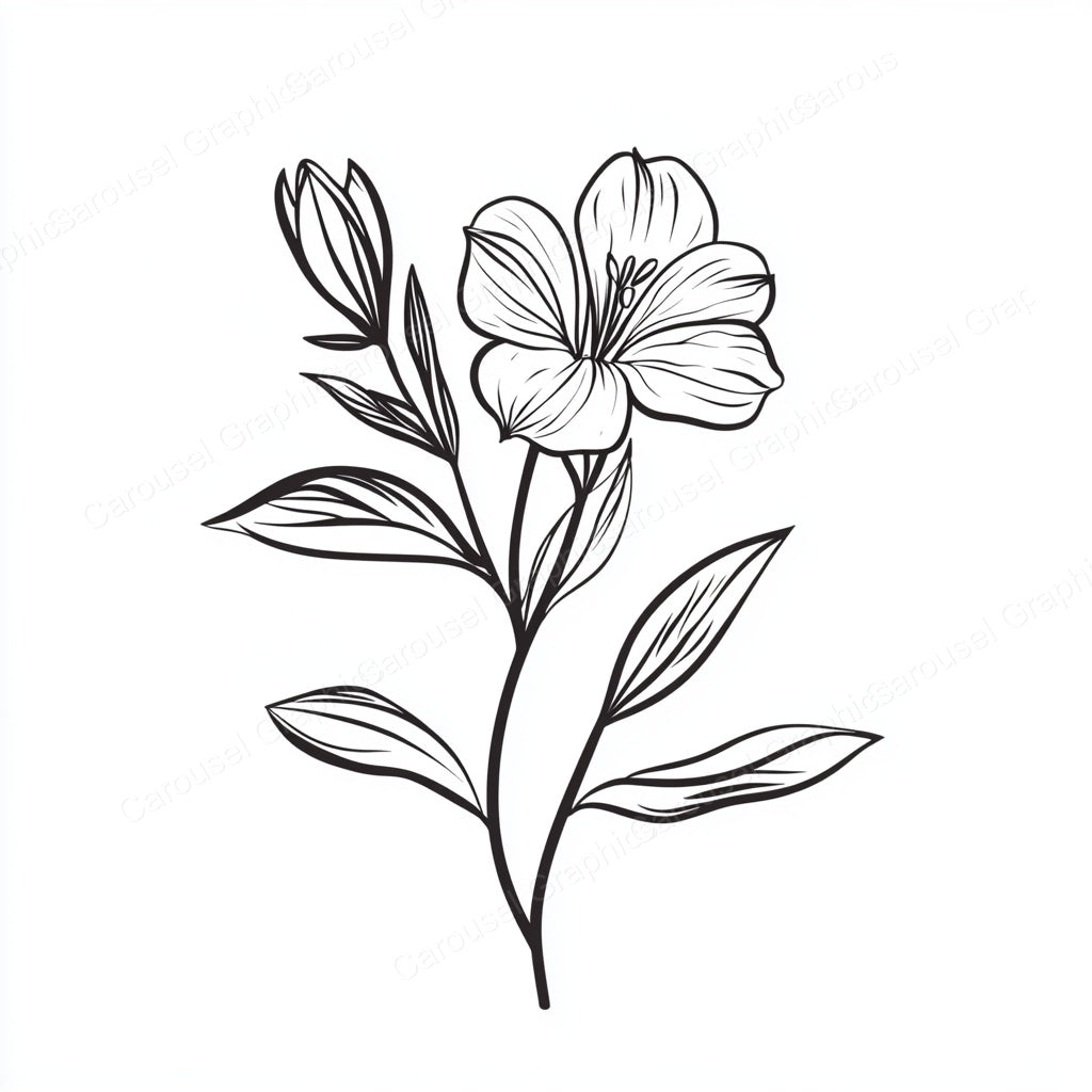 Alstroemeria Vector Graphic preview