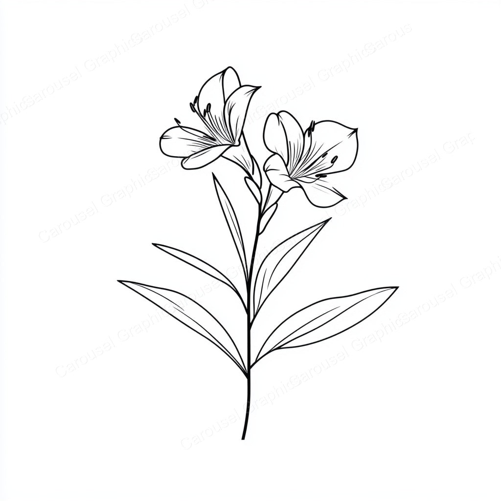 Alstroemeria Vector Graphic preview