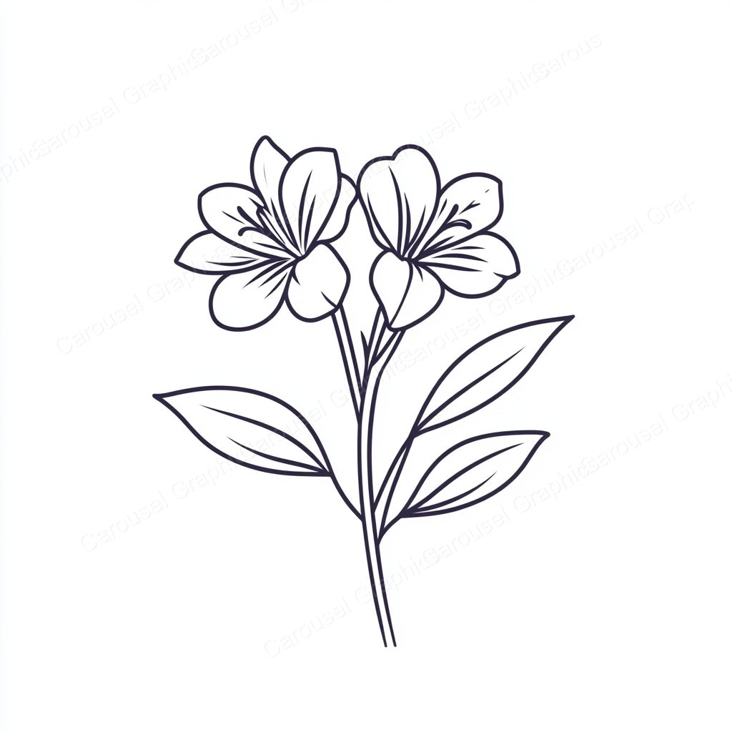 Alstroemeria Vector Graphic preview