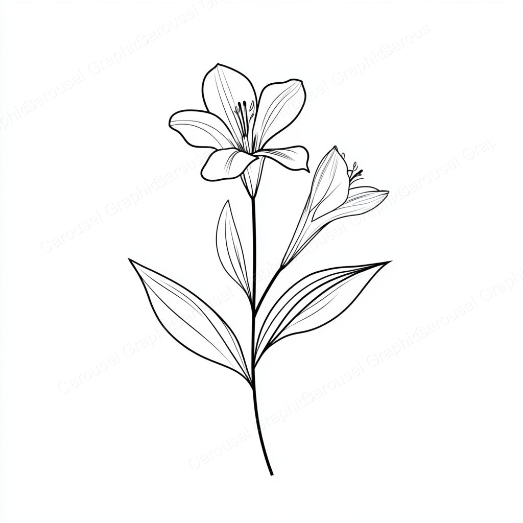 Alstroemeria Vector Graphic preview