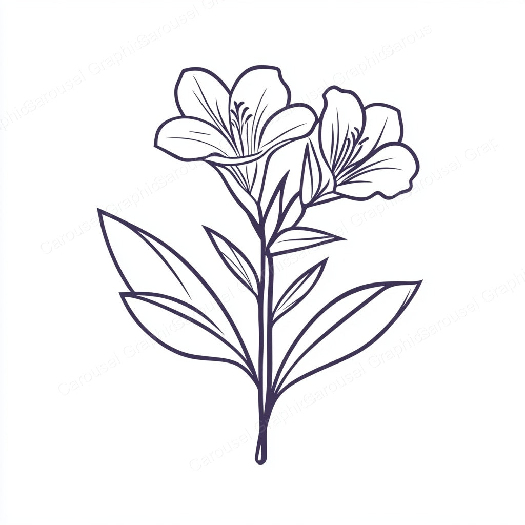 Alstroemeria Vector Graphic preview