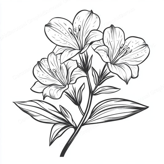 Alstroemeria Vector Graphic preview