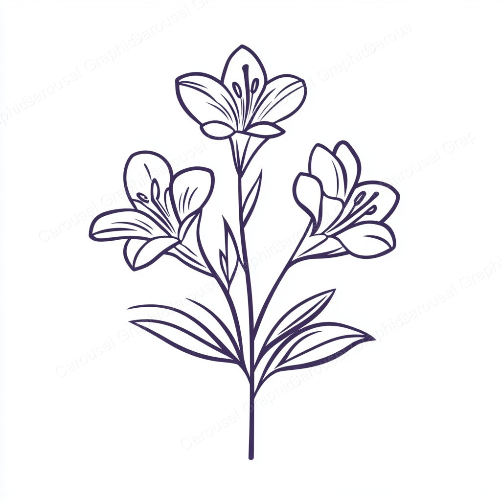 Alstroemeria Vector Graphic preview