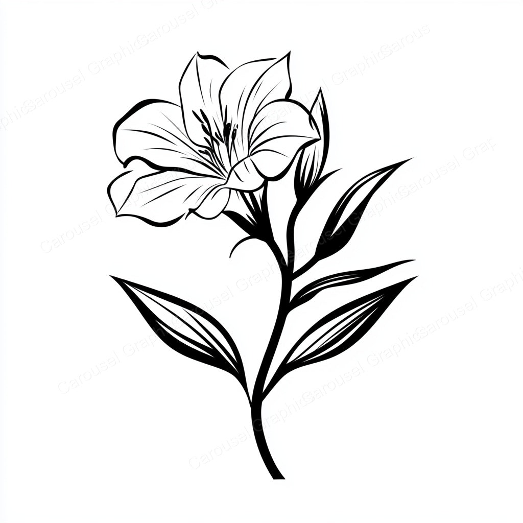 Alstroemeria Vector Graphic preview