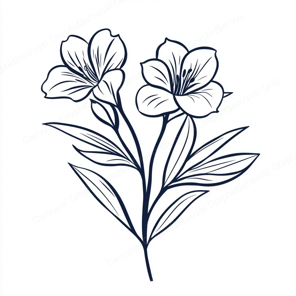 Alstroemeria Vector Graphic preview