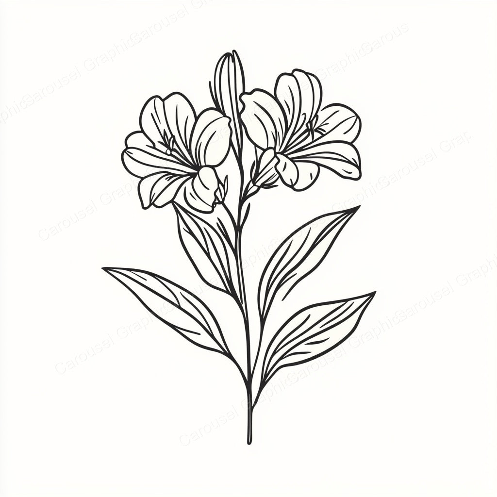 Alstroemeria Vector Graphic preview