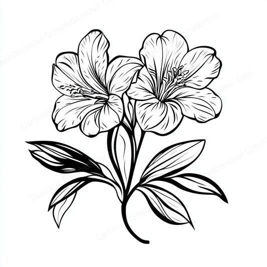 Alstroemeria Vector Graphic preview