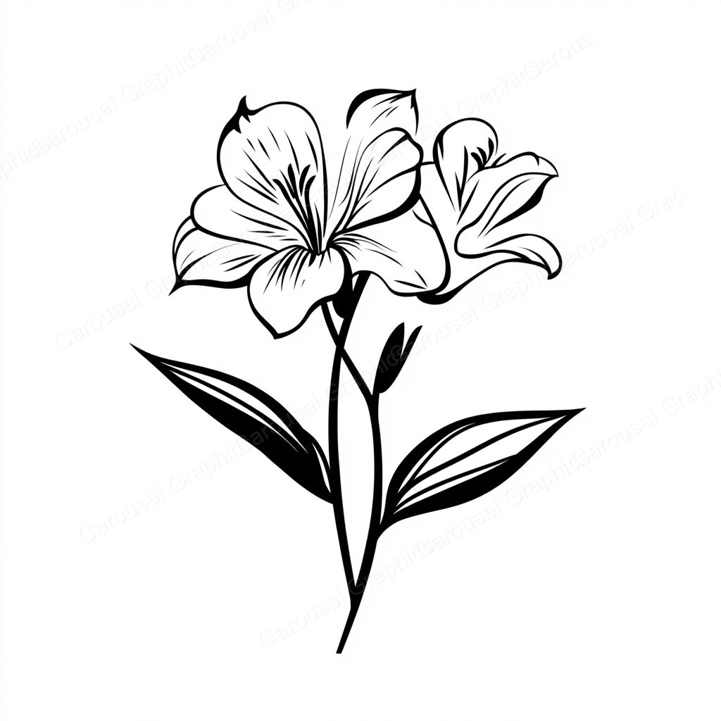 Alstroemeria Vector Graphic preview