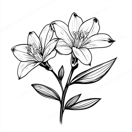 Alstroemeria Vector Graphic preview