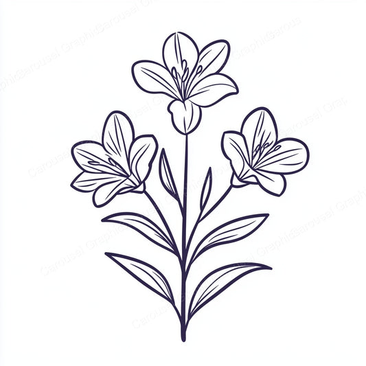 Alstroemeria Vector Graphic preview