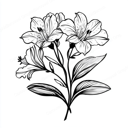 Alstroemeria Vector Graphic preview