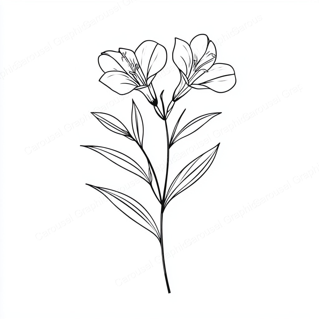 Alstroemeria Vector Graphic preview