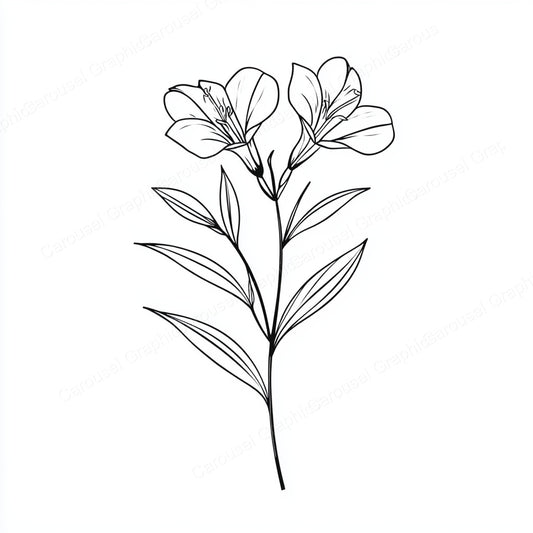 Alstroemeria Vector Graphic preview