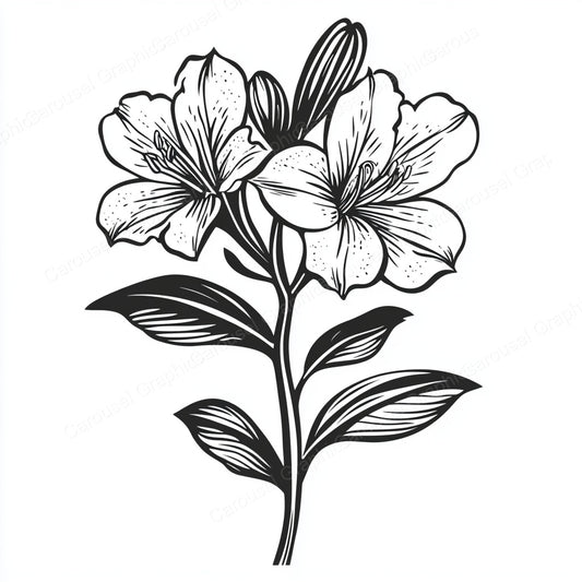 Alstroemeria Vector Graphic preview