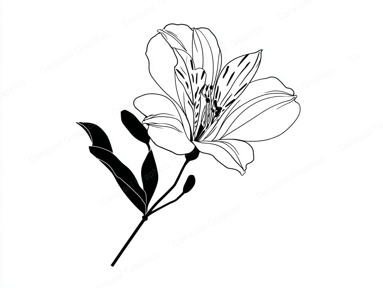 Alstroemeria Vector Graphic preview
