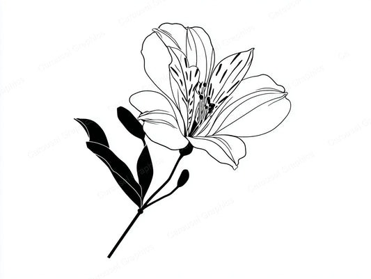 Alstroemeria Vector Graphic preview